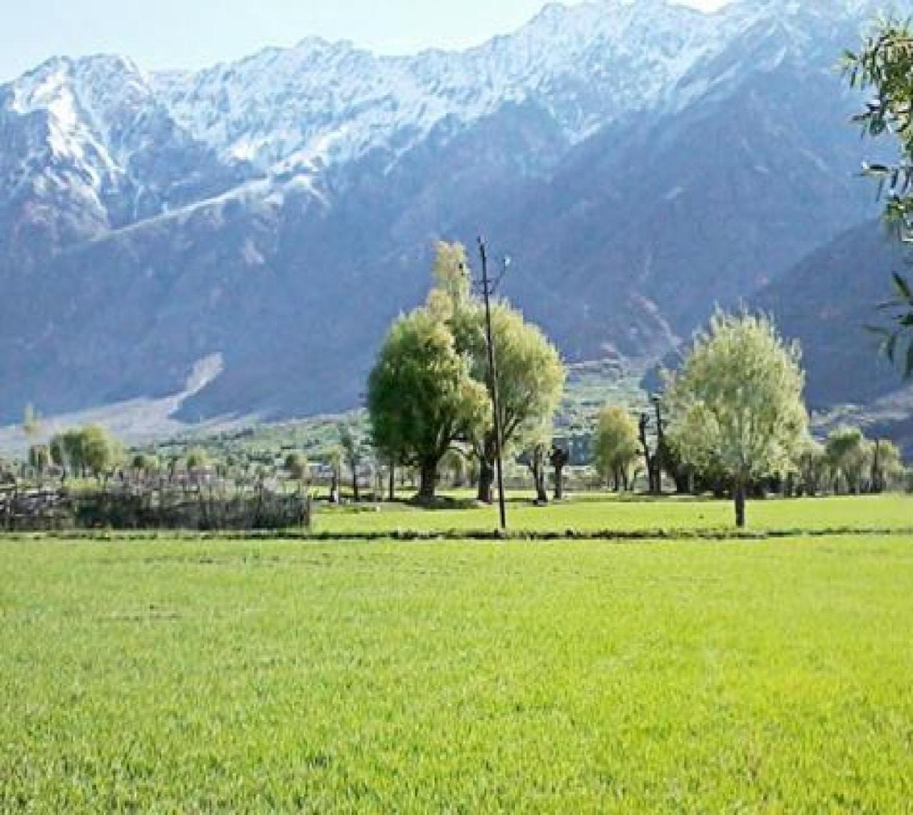 Hotel Suru View Kargil Exteriér fotografie
